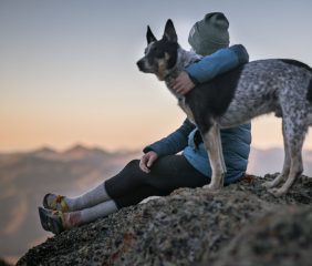 Traveling with a lovely dog to the top of a mountain